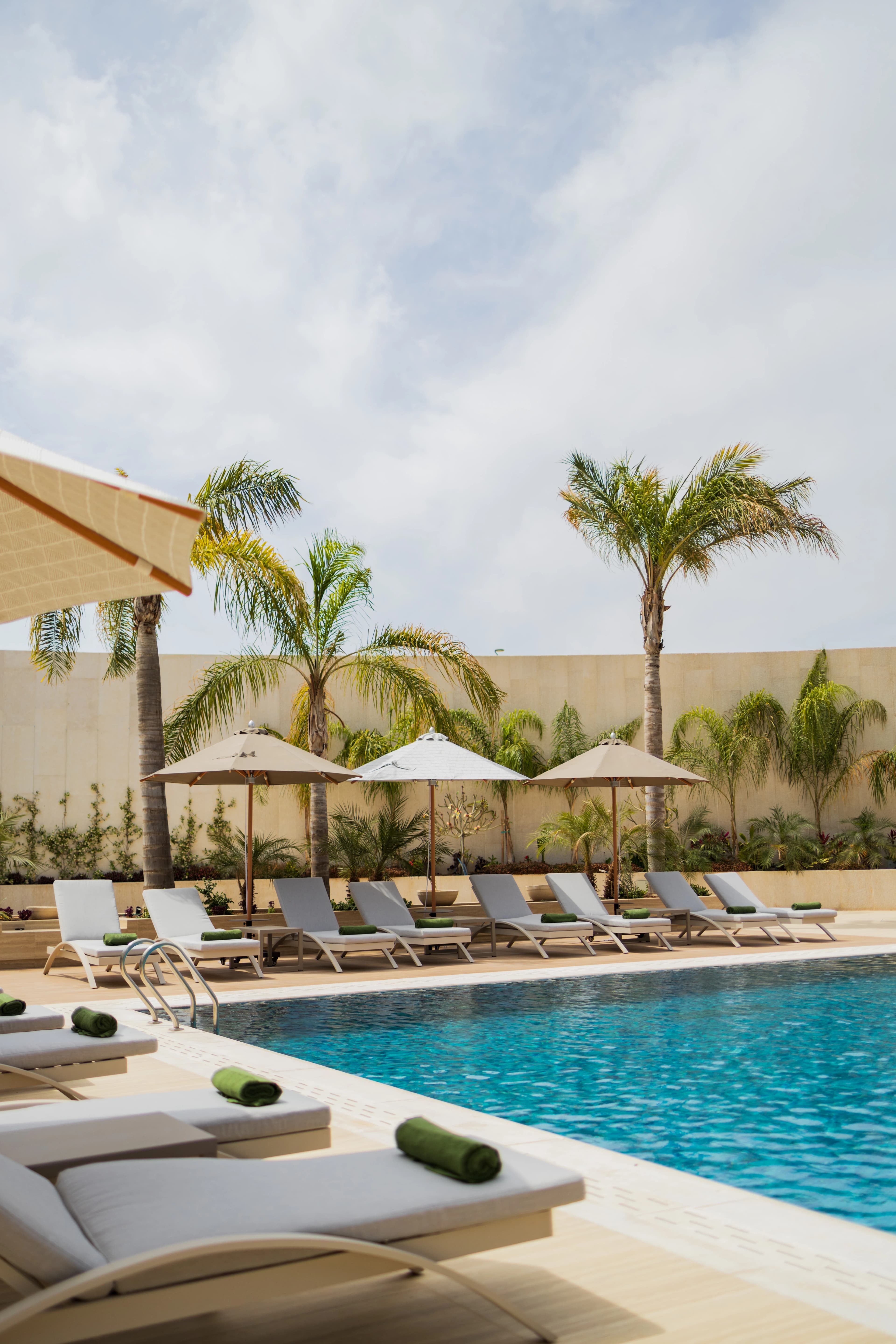 Pool with palm trees