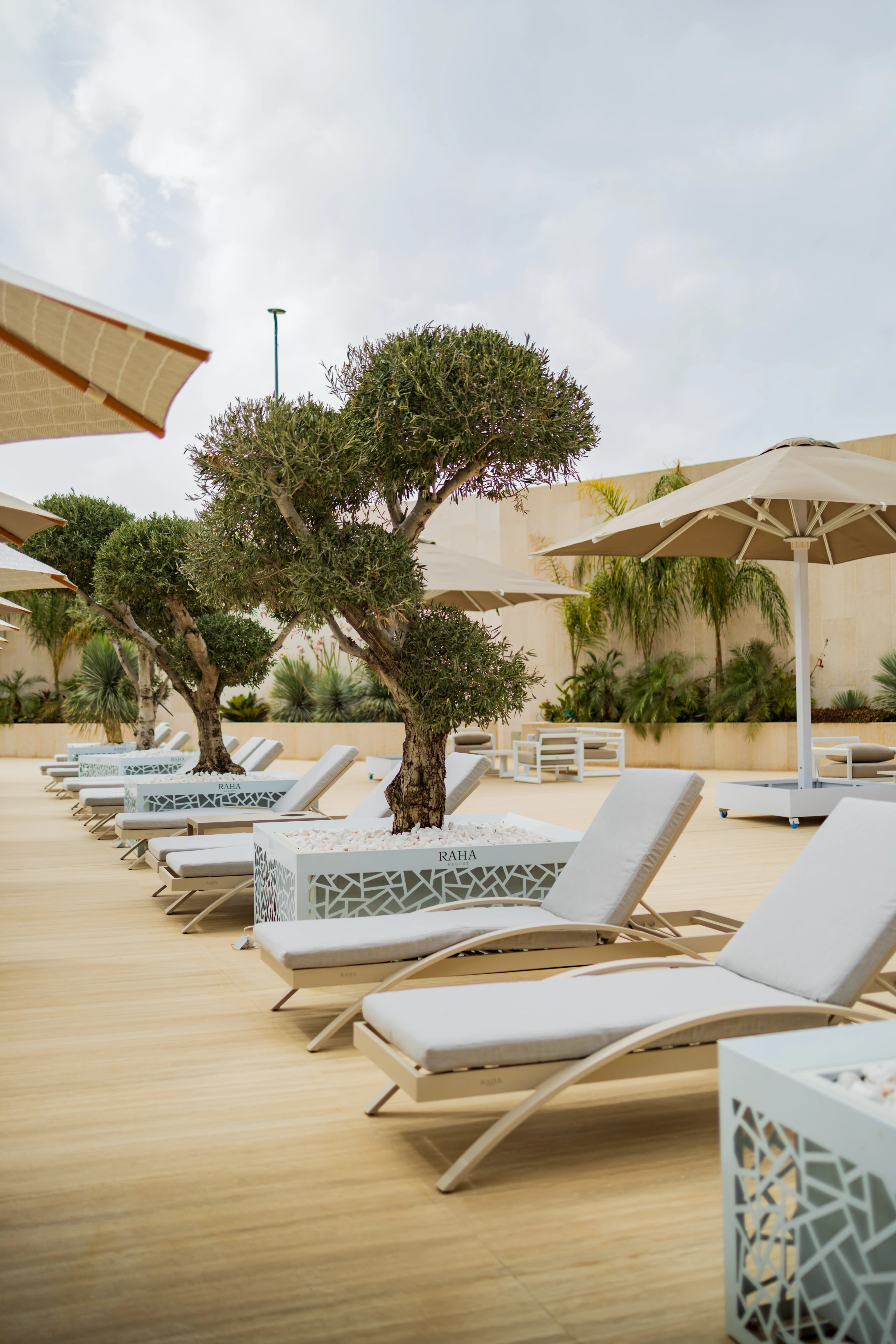 Outdoor dining terrace
