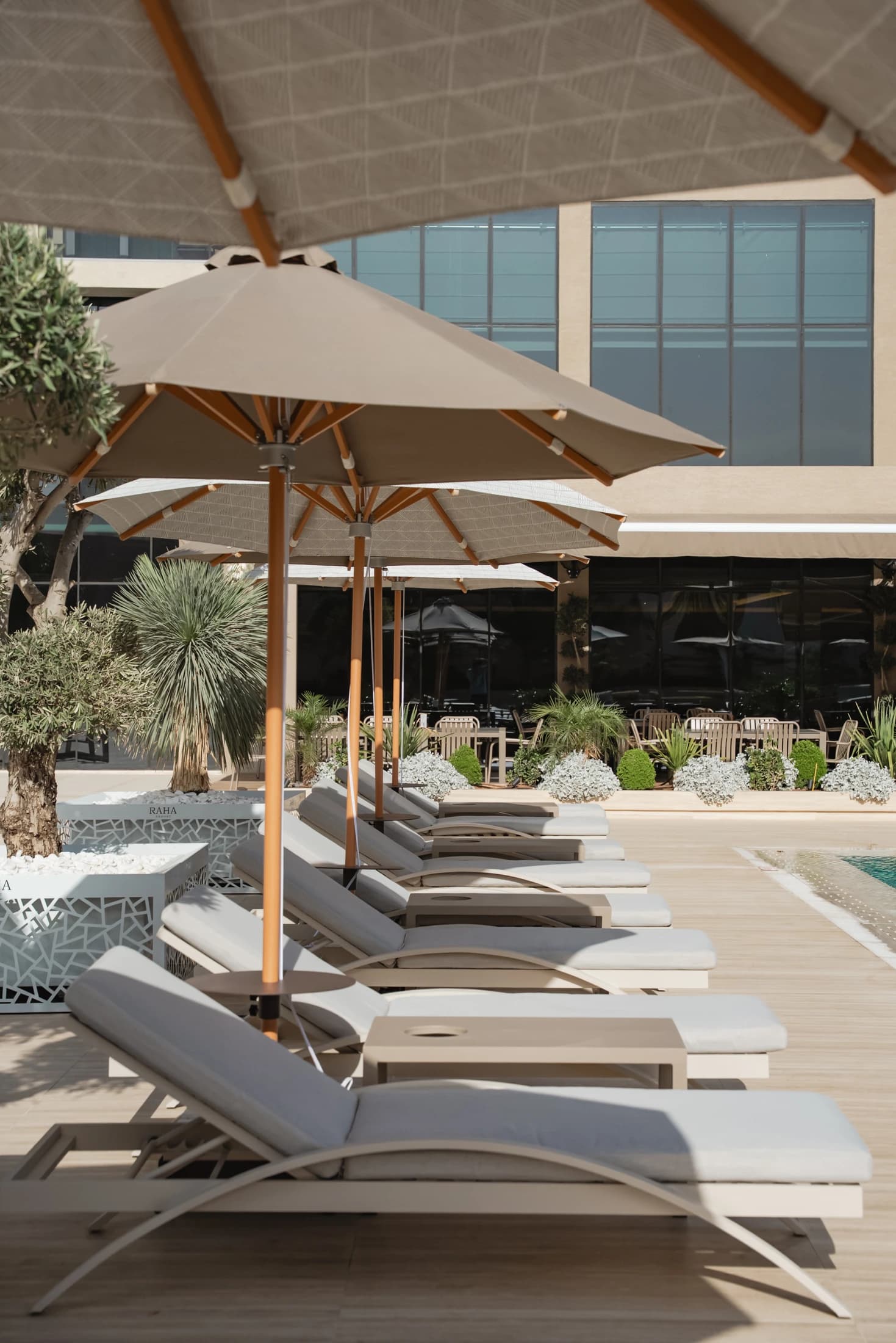 Pool deck loungers and umbrellas
